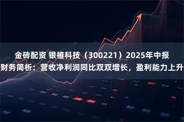 金砖配资 银禧科技（300221）2025年中报财务简析：营收净利润同比双双增长，盈利能力上升