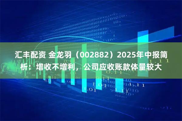 汇丰配资 金龙羽（002882）2025年中报简析：增收不增利，公司应收账款体量较大