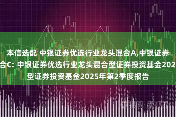 本信选配 中银证券优选行业龙头混合A,中银证券优选行业龙头混合C: 中银证券优选行业龙头混合型证券投资基金2025年第2季度报告