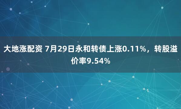 大地涨配资 7月29日永和转债上涨0.11%，转股溢价率9.54%