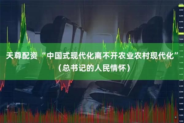 天尊配资 “中国式现代化离不开农业农村现代化”（总书记的人民情怀）